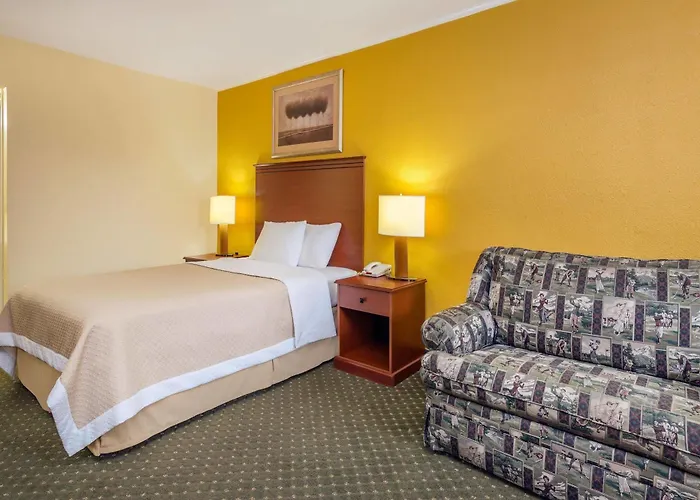 Alamo Motel Buffalo
